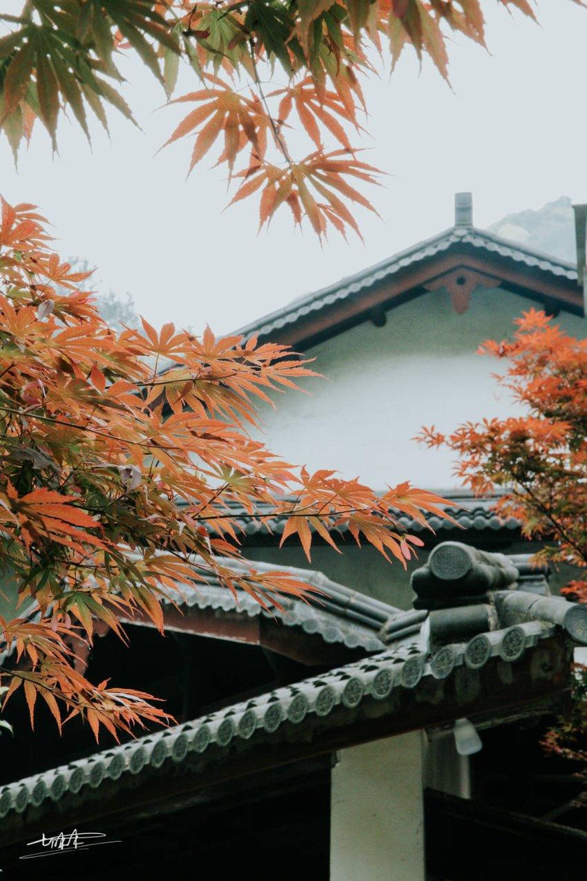 极限竞速地平线3