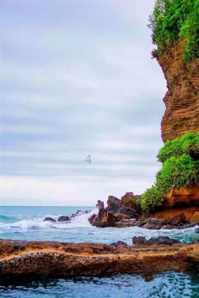 春雨直播app