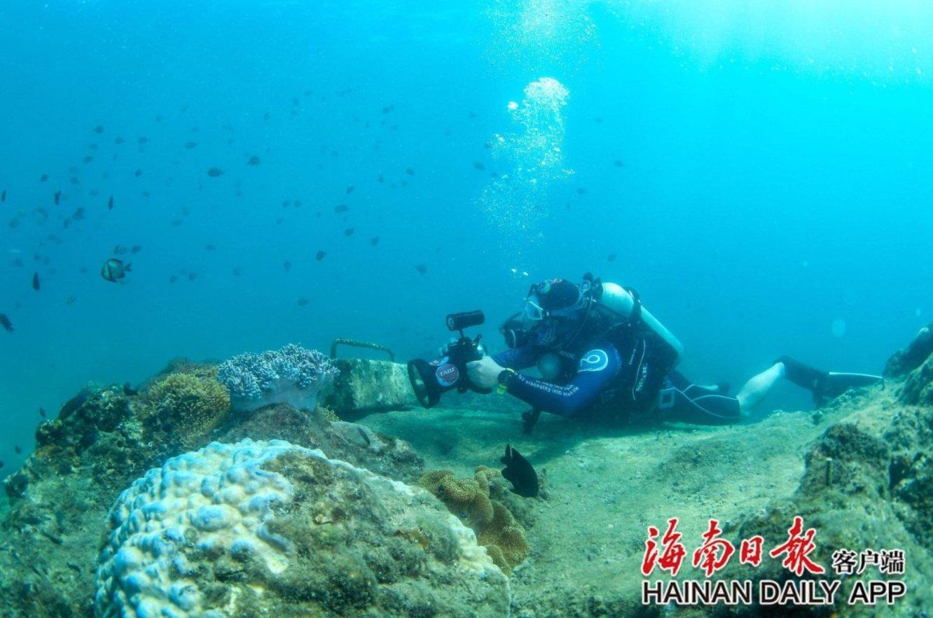 肖战获得《学习强国》肯定：认识比较理性