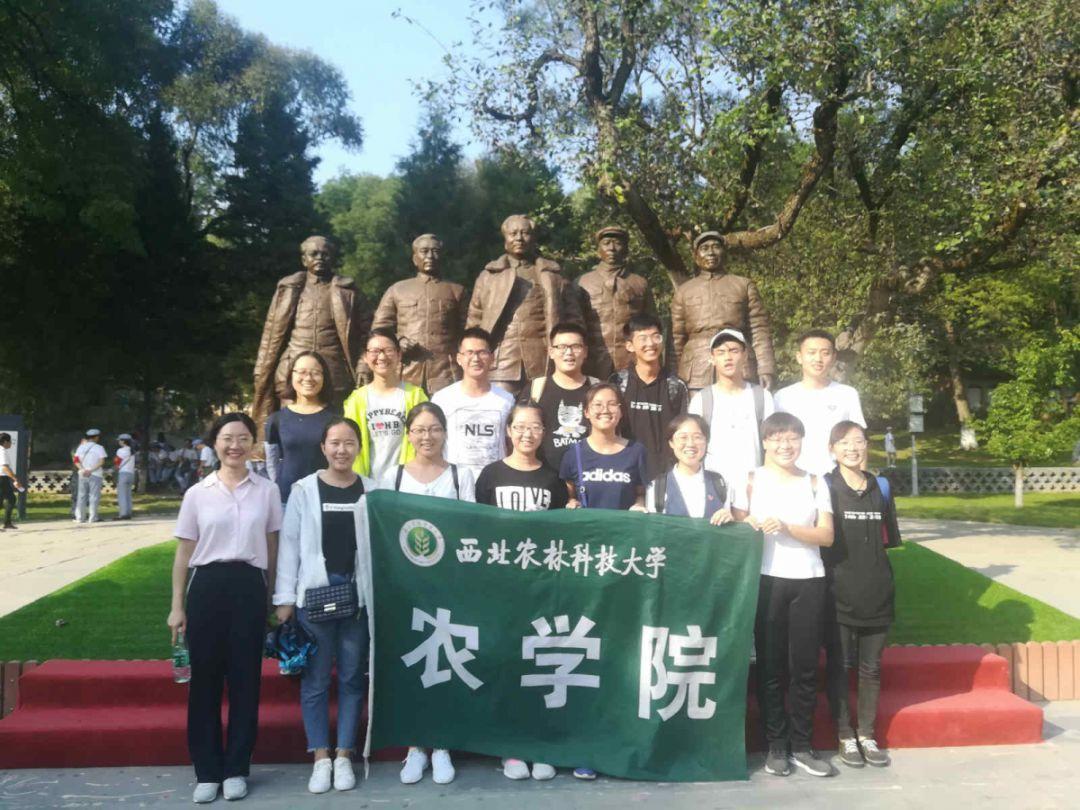 比较适合男士的护肤品游戏画面