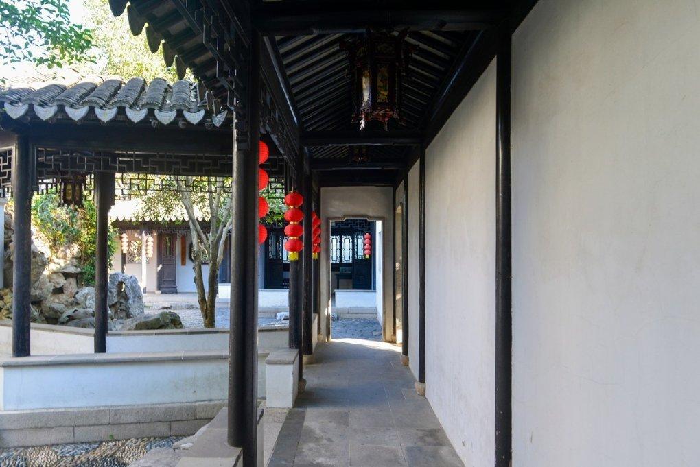 打假测评,能“无限繁殖的”线面,网友:福建人的噩梦!
